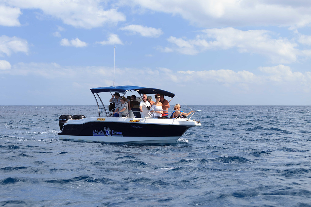 So much to sea